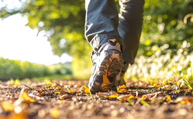 Стало известно, как обычные прогулки могут спасти от рака