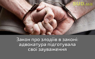 Закон про злодіїв в законі: адвокатура підготувала свої зауваження