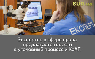 Экспертов в сфере права предлагается ввести в уголовный процесс и КоАП