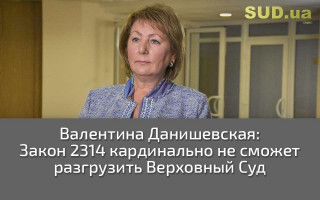Валентина Данишевская: Закон 2314 кардинально не сможет разгрузить Верховный Суд