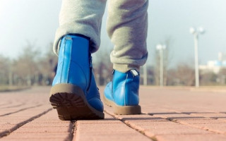 Пішли до школи та не повернулися додому: на Буковині зникли двоє дітей