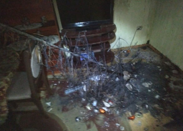 Горела новогодняя елка: под Львовом вспыхнул мощный пожар в квартире