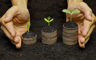 Запуск ринку землі в Україні: як це вплине на банківську систему