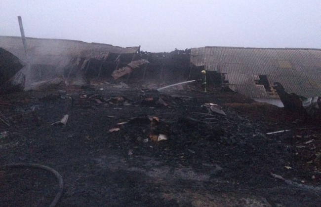 В Киевской области вспыхнул серьезный пожар, фото