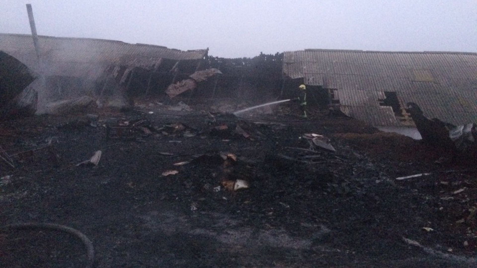 В Киевской области вспыхнул серьезный пожар, фото