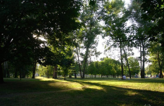 У Києві з’являться нові природні заповідники