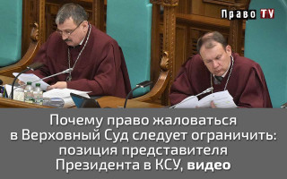 Почему право жаловаться в Верховный Суд следует ограничить: позиция представителя Президента в КСУ, видео