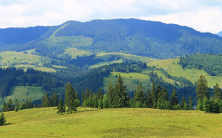 В Карпатах зафіксували підземні поштовхи