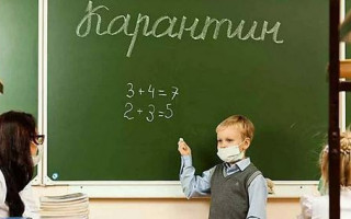 Вспышки гриппа: в восьми областях Украины закрыли школы на карантин