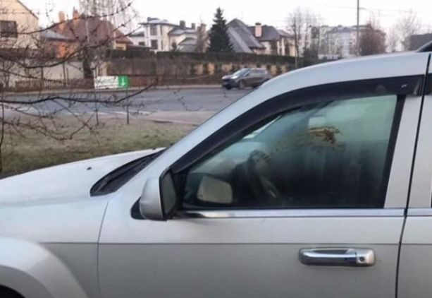 Испачкали фекалиями: киевляне наказали «героя парковки»