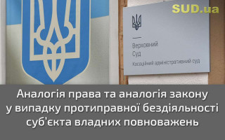 Аналогія права та аналогія закону у випадку протиправної бездіяльності суб’єкта владних повноважень