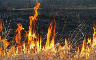 Пожежа на Прикарпатті: у вогні загинула 84-річна жінка