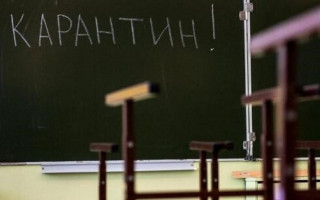 Грипп в Киеве: несколько школ закрыли на карантин