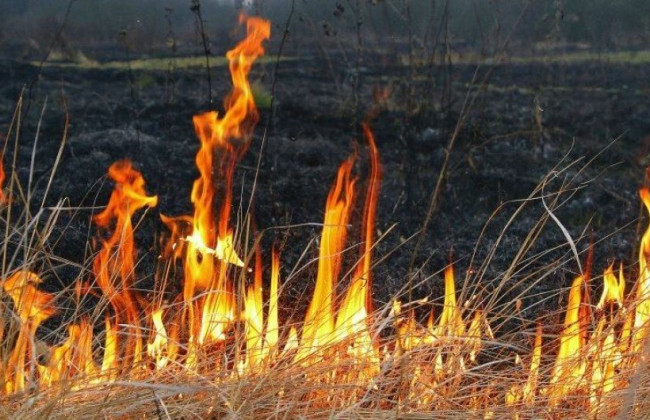 Пожежа на Прикарпатті: у вогні загинула 84-річна жінка