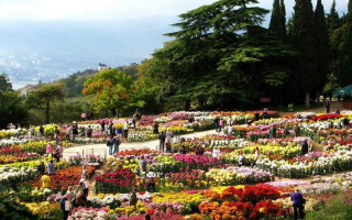 Под Киевом появится уникальный гигантский дендропарк