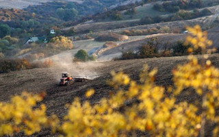Рада планирует принять земельную реформу на этой сессии
