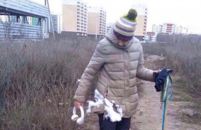 На Київщині бійцівські собаки ледь не роздерли двох жінок: є фото