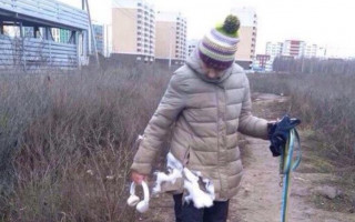 На Київщині бійцівські собаки ледь не роздерли двох жінок: є фото