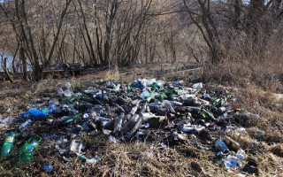 Один из столичных водоемов превратили в свалку, фото