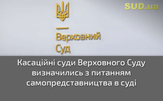 Касаційні суди Верховного Суду визначились з питанням самопредставництва в суді