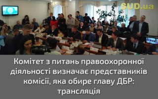 Комітет з питань правоохоронної діяльності визначає представників комісії, яка обере главу ДБР: трансляція