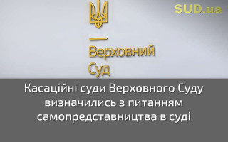 Касаційні суди Верховного Суду визначились з питанням самопредставництва в суді