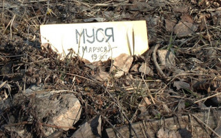 Где в Киеве можно похоронить домашнего любимца: подробности