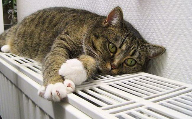 Киянам пояснили, як ціна газу впливає на вартість опалення і гарячої води