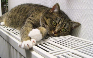 Киянам пояснили, як ціна газу впливає на вартість опалення і гарячої води