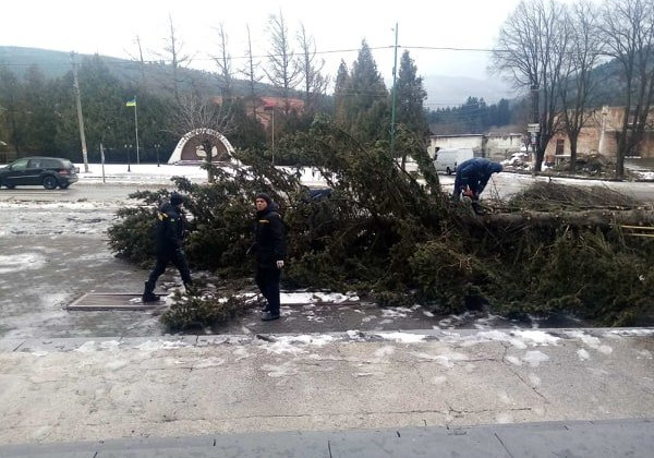 На Львівщині вирувала негода: з’явилися фото наслідків шквального вітру