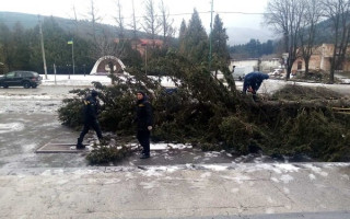 На Львівщині вирувала негода: з’явилися фото наслідків шквального вітру