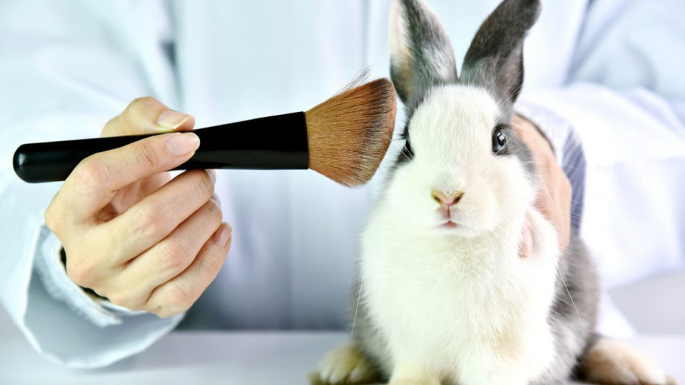 Продаж косметики, тестованої на тваринах, можуть заборонити