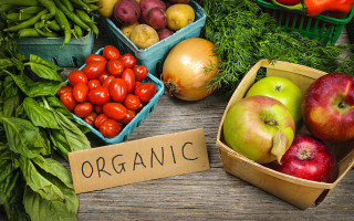 Украинцам открыли доступ к реестрам органической продукции