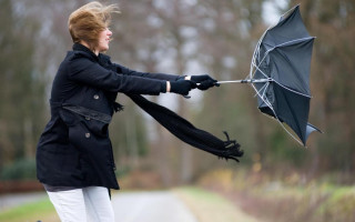 В Украине объявлен желтый уровень опасности: как действовать во время очень сильного ветра