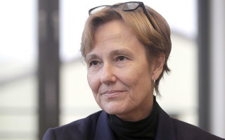 Німецьким інвесторам не потрібні няні, їм потрібні незалежні суди, — посол Фельдгузен