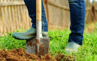 Забил жену лопатой: киевлянин получил 8 лет тюрьмы