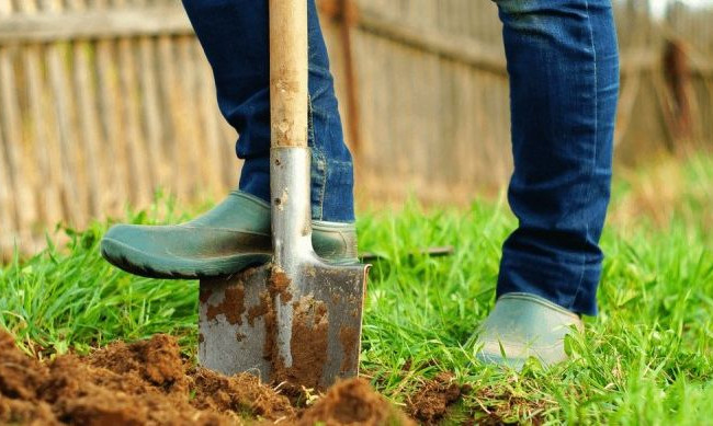 Забил жену лопатой: киевлянин получил 8 лет тюрьмы