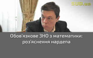 Обов’язкове ЗНО з математики: роз’яснення нардепа