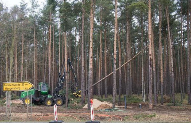 Tesla столкнулась с проблемами: в Германии суд заблокировал строительство завода