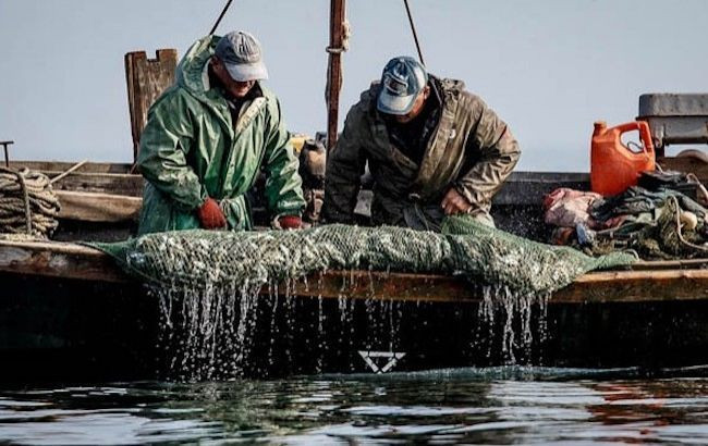 МИД требует освобождения украинских рыбаков, которых задержали в Азовском море