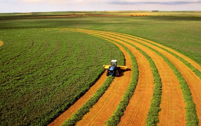 ВП ВС розглянула справу про відмову від підписання акту погодження меж суміжним землекористувачем