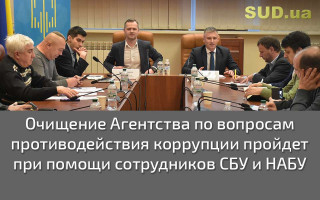 Отдельные проверки деклараций проводились лишь для показателей — глава НАПК