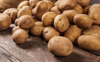 Стало известно, как картофель влияет на здоровье
