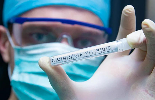 В Японии отпустили с Diamond Princess свыше 20 человек: у 60-летней женщины обнаружили коронавирус