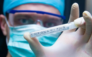 В Японии отпустили с Diamond Princess свыше 20 человек: у 60-летней женщины обнаружили коронавирус