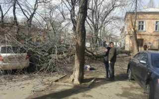 В Одессе из-за урагана погибла женщина: фото, видео