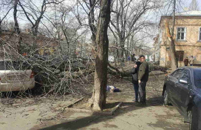 В Одессе из-за урагана погибла женщина: фото, видео