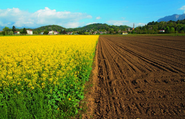 Відлік строку оренди: Верховний Суд вказав на важливий аспект