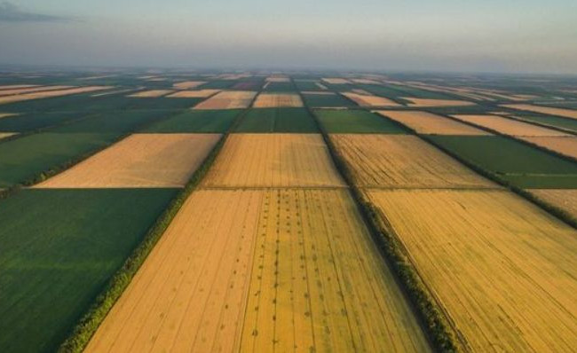 Депутати не зможуть вносити стільки поправок, як до закону про ринок землі