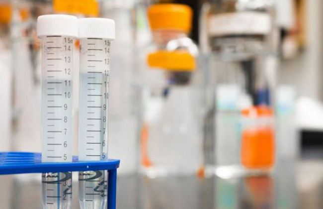 Коронавирус добрался до Румынии и Польши: зарегистрированы первые случаи заражения